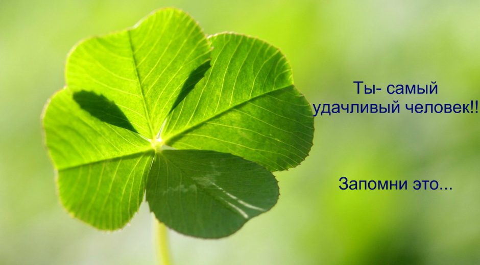 Ставки на спорт