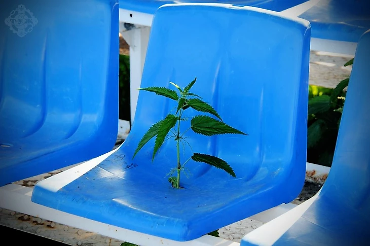 ... особенно в праздник.