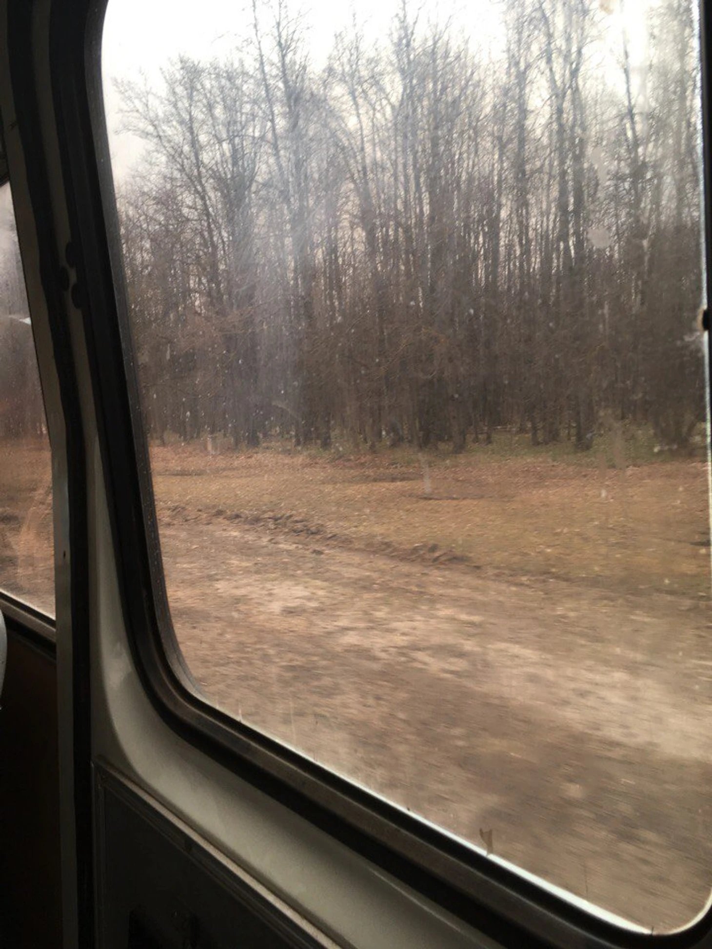 Типичный Саранск.
