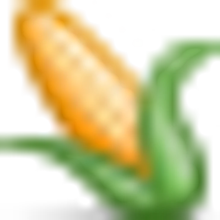 🌽