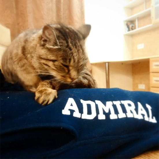 Самый неожиданный талисман российского хоккея