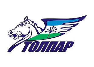 Playoffs mode. «Толпар»