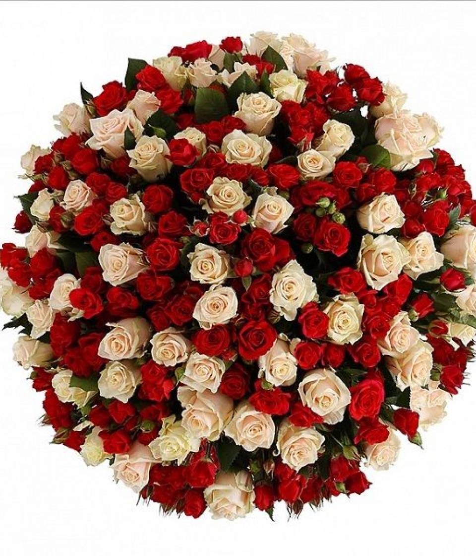 Организация РПЛ, премьер-лига Россия