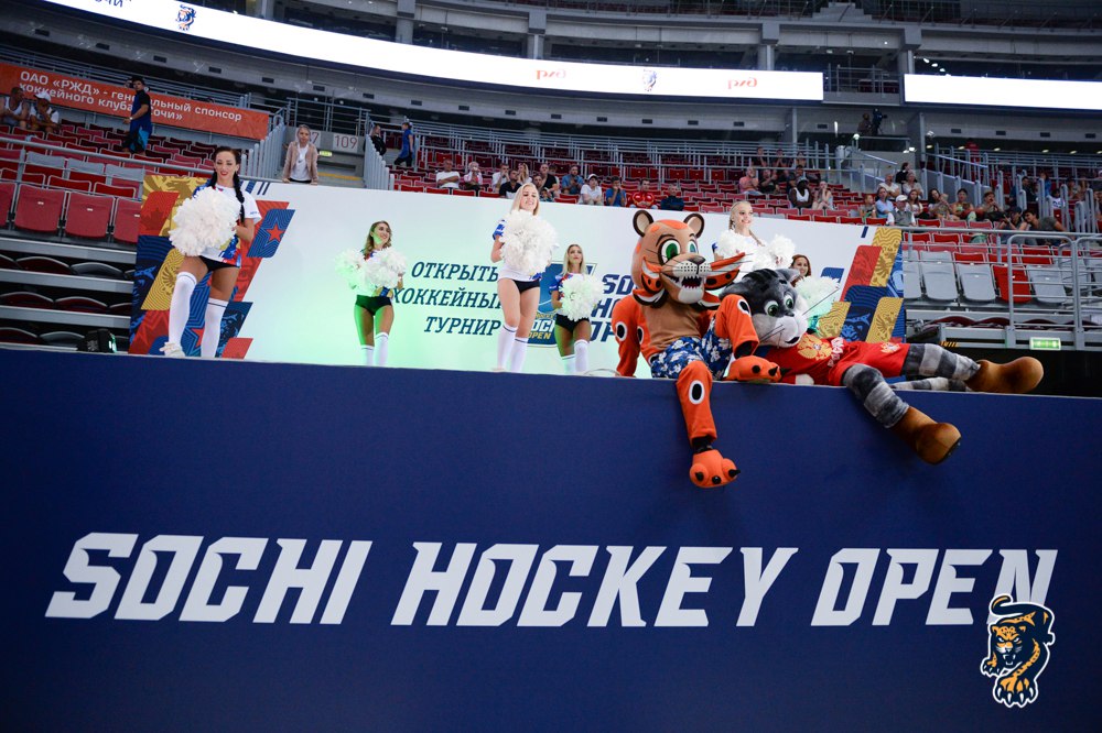 Все в Сочи! Все на хоккей! Здесь проводится лучший турнир межсезонья!