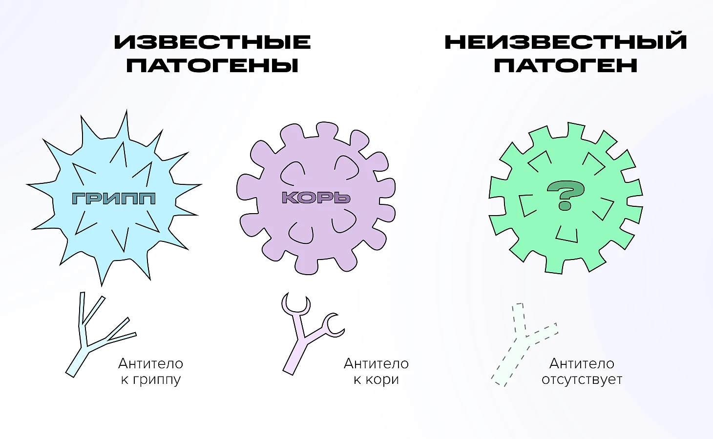 Какая вакцина от коронавируса самая эффективная? Чем безопаснее привиться  пожилым и беременным? Виды вакцин от COVID-19 - - Блоги Sports.ru