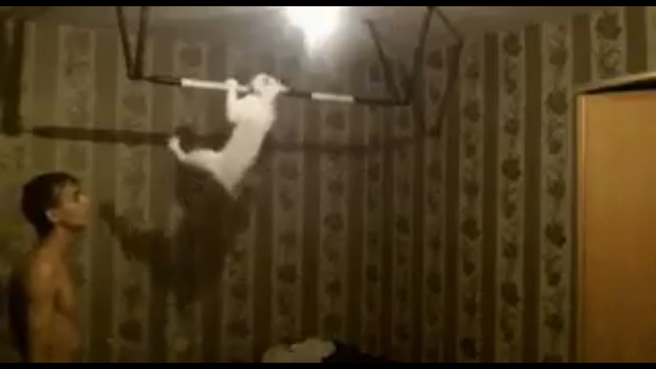 ЗОЖ