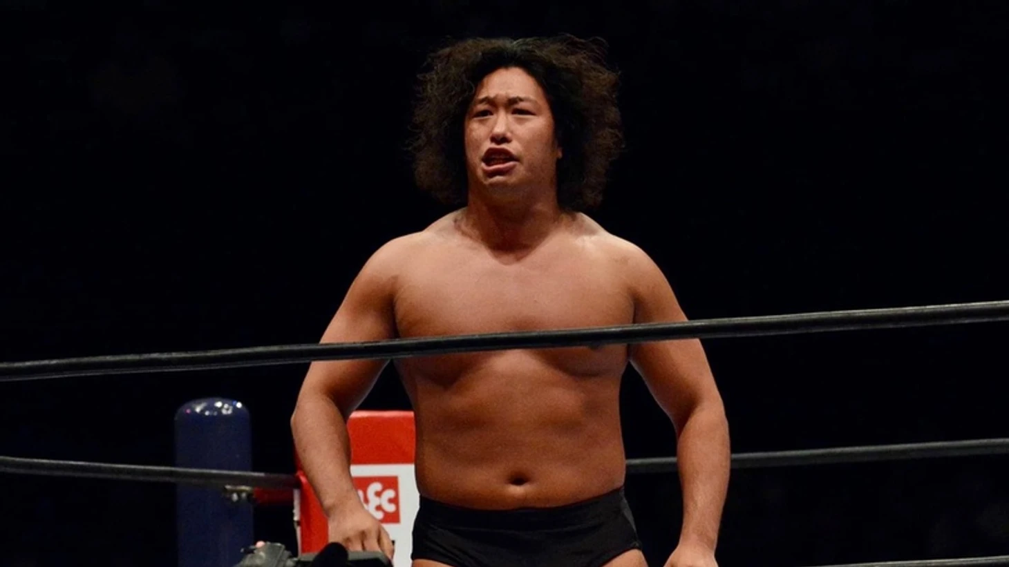 Обзор первого дня NJPW G1 Climax 30, изображение №2