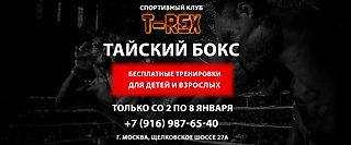 Тайский бокс бесплатно