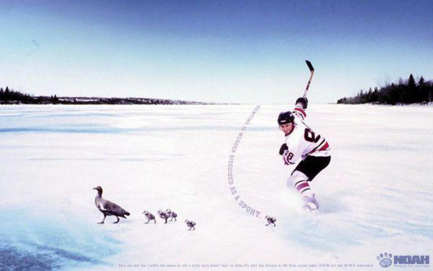 Anti-hunting Campaign