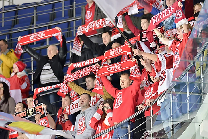 Источник: официальный сайт &quout;Витязя&quout;