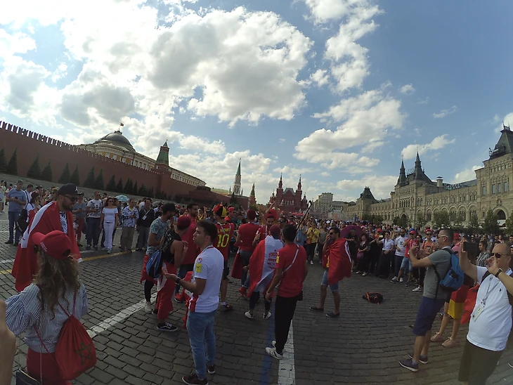 болельщики бельгии и туниса