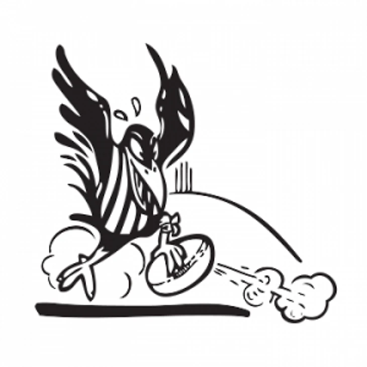 Magpies logo