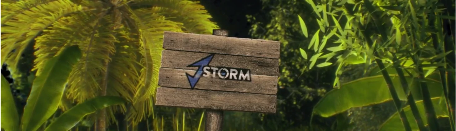 Команда J.Storm