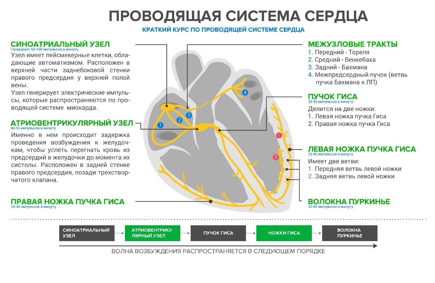 Эриксену установили кардиовертер-дефибриллятор. Что это такое и можно ли с  ним играть в футбол? - Недоэкспертное мнение - Блоги - Sports.ru