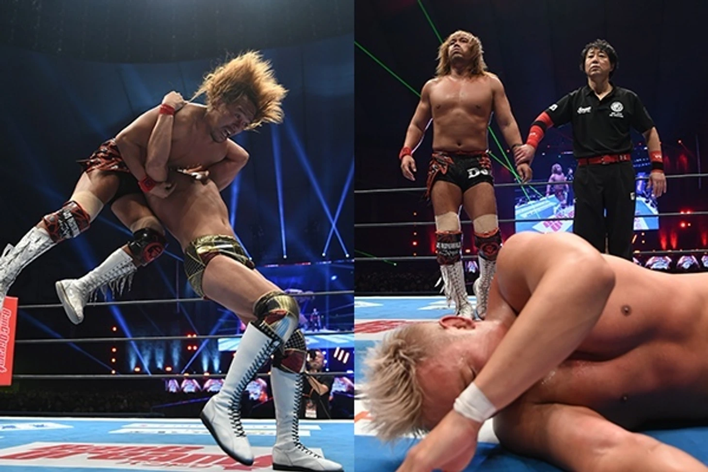 Обзор 2-го дня NJPW Wrestle Kingdom 14, изображение №29