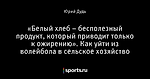 «Белый хлеб – бесполезный продукт, который приводит только к ожирению». Как уйти из волейбола в сельское хозяйство