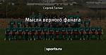 Мысли верного фаната