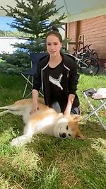 エアウィーヴ (公式) on Instagram: “な、な、なんと!#Teamairweave 「マサル🐕」から #わたしのナイトルーティン が届きました🙌 マサル、可愛い・・・ ザギトワ選手、麗しい・・・ 毎日こんなに丁寧にブラッシングしてもらえているなんて、 マサルはとっても幸せですね。…”
