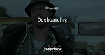Dogboarding