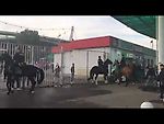 Драка фанатов "Спартака" и "Локомотива"