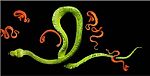 «Serpentine» - Фрикции. Animals - Блоги - Sports.ru