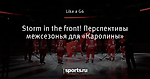 Storm in the front! Перспективы межсезонья для «Каролины»