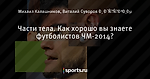 Части тела. Как хорошо вы знаете футболистов ЧМ-2014? - Футбол - Sports.ru