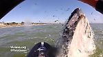 Whale Bumps Paddle Boarder Viviana "FluteQueen" Guzman in Half Moon Bay