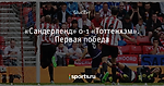 «Сандерленд» 0-1 «Тоттенхэм». Первая победа