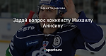 Задай вопрос хоккеисту Михаилу Анисину