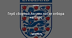 Герб сборной Англии после отбора на Евро