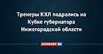 Тренеры КХЛ подрались на Кубке губернатора Нижегородской области