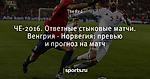 ЧЕ-2016. Ответные стыковые матчи. Венгрия - Норвегия: превью и прогноз на матч