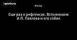 Еще раз о рефлексах. Вспоминаем И.П. Павлова и его собак