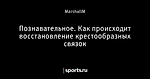 Познавательное. Как происходит восстановление крестообразных связок