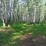 Дневной забег - Vitaliy Perebatov's 15.8 kilometers run