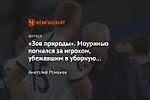 «Зов природы». Моуринью погнался за игроком, убежавшим в уборную по ходу матча