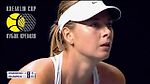 Rybarikova - Sharapova / Best rally