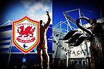 Кто главный в Уэльсе? И какой клуб является крупнейшим в Англии? - Cardiff City | Bluebirds - Блоги - Sports.ru