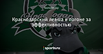 Краснодарский левша в погоне за эффективностью