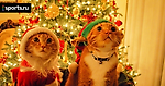 С Новым годом!