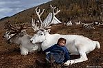 Оленеводы из Монголии в фотографиях Hamid Sardar-Afkhami - Фрикции. Animals - Блоги - Sports.ru