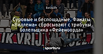 Суровые и беспощадные. Фанаты «Виллема» сбрасывают с трибуны болельщика «Фейеноорда»