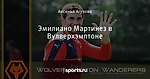 Эмилиано Мартинез в Вулверхэмптоне