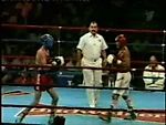 Костя Цзю Хайлайт / Kostya Tszyu Highlights