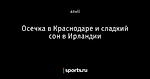 Осечка в Краснодаре и сладкий сон в Ирландии