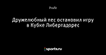 Дружелюбный пес остановил игру в Кубке Либертадорес