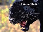Panther Roar Sound Effect