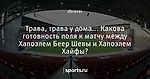 Трава, трава у дома... Какова готовность поля к матчу между Хапоэлем Беер Шевы и Хапоэлем Хайфы?