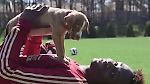 Atlanta United FC on Twitter